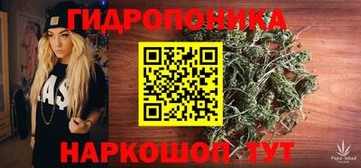 гашик Рязань